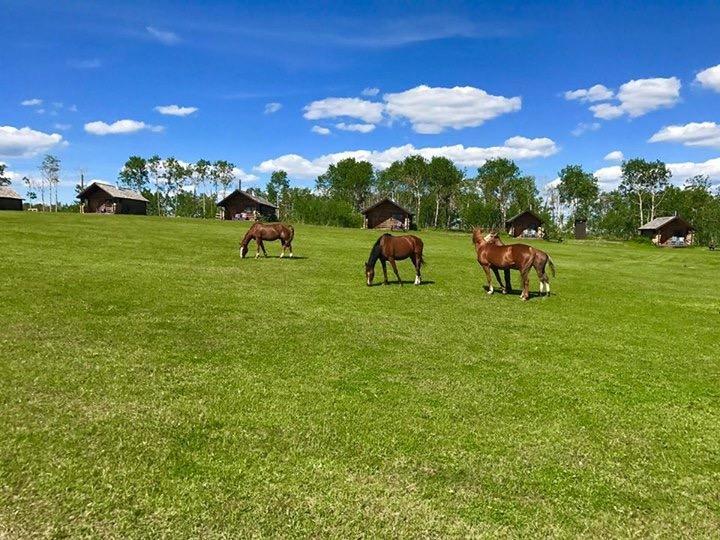 Flying U Ranch Hotel Seventy Mile House Esterno foto